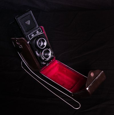 Seagull TLR Camera
