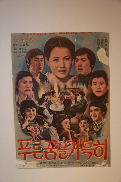 모정속의 청춘들이여