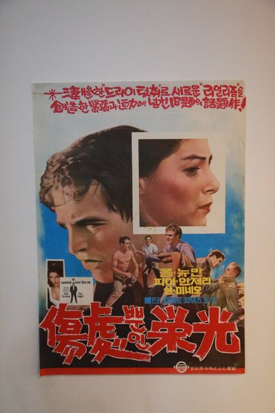 청춘의 덫 (Goodbye Columbus)